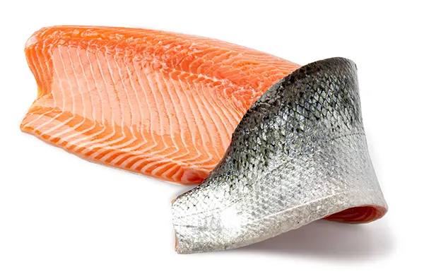 fish