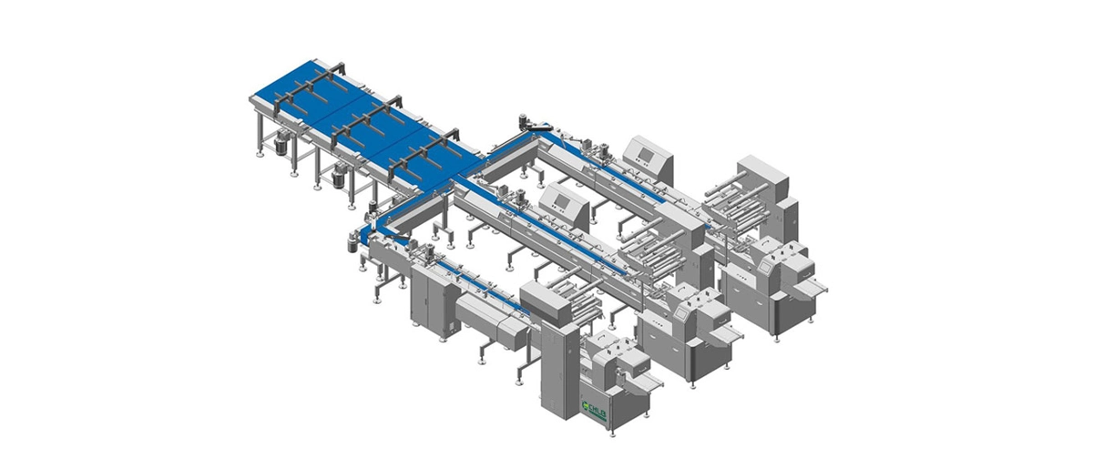 Back Seal Packaging Line