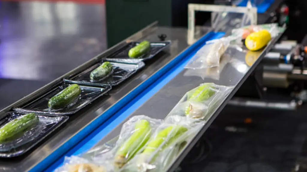 Automatic food flow wrapping machine