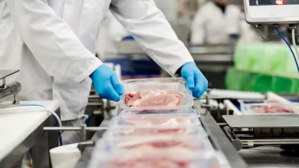 Close up of a meat industry worker gathering packed meat on a conveyor belt.