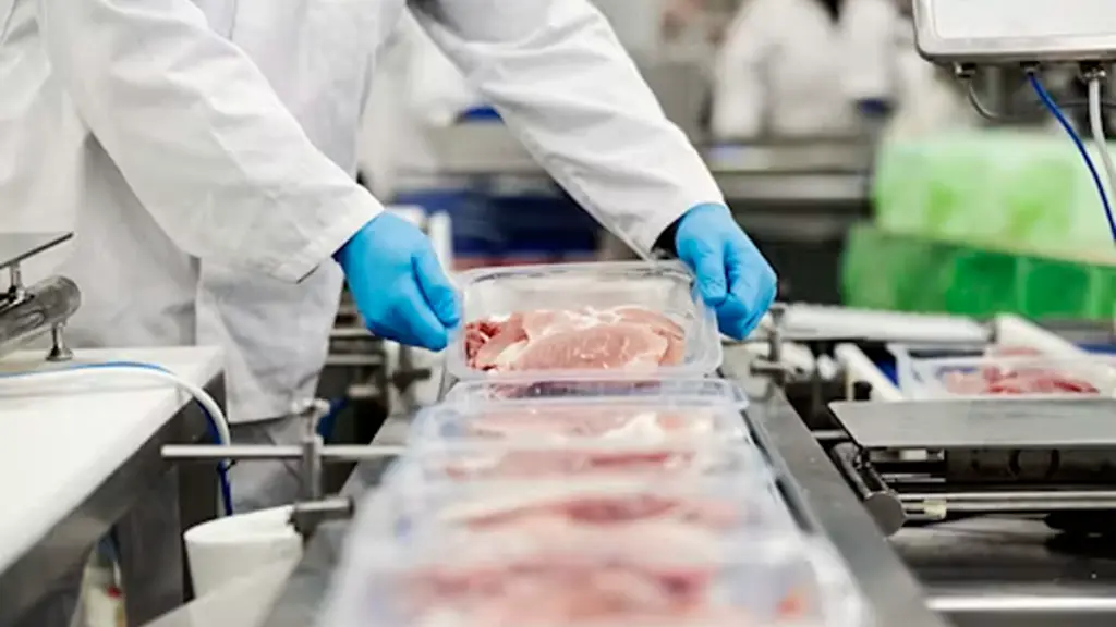 _Close up of a meat industry worker gathering packed meat on a conveyor belt