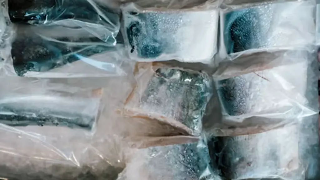 Frozen fish portions packed in plastic wrap