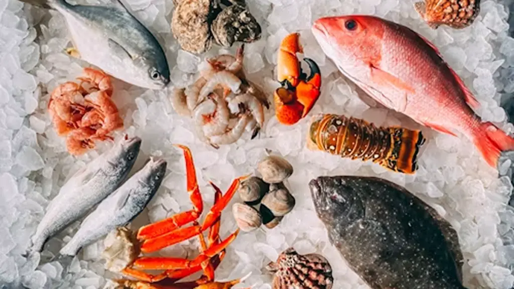 orange and white fish on white and black pebbles need to be packaged